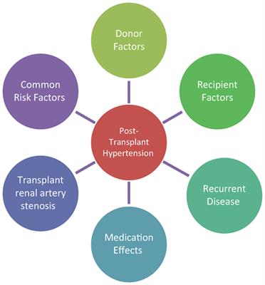 Hypertension in the Pediatric Kidney Transplant Recipient